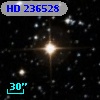 HD 236528