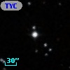 TYC  806-311-1