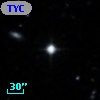 TYC  803-195-1