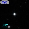 TYC  803-251-1