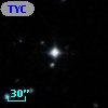 TYC  803-318-1