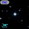 TYC  803-369-1