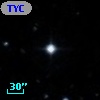 TYC  803-600-1
