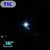 TYC  803-667-1