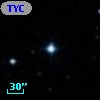 TYC  803-675-1