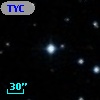 TYC  803-1295-1
