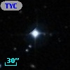 TYC  800-436-1