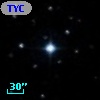 TYC  794-568-1
