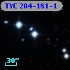 TYC  204-181-1
