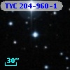TYC  204-960-1