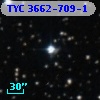 TYC 3662-709-1