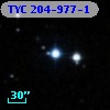 TYC  204-977-1