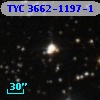 TYC 3662-1197-1