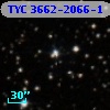 TYC 3662-2066-1