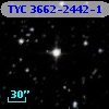 TYC 3662-2442-1