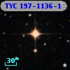 TYC  197-1136-1