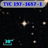 TYC  197-1687-1