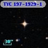 TYC  197-1929-1
