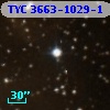 TYC 3663-1029-1