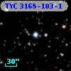 TYC 3168-103-1
