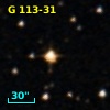 G 113-31