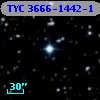 TYC 3666-1442-1