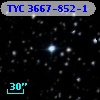 TYC 3667-852-1