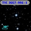 TYC 3667-986-1