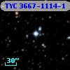 TYC 3667-1114-1