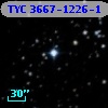 TYC 3667-1226-1