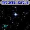TYC 3667-1252-1
