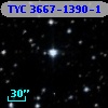 TYC 3667-1390-1