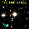 TYC 3667-1442-1