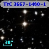 TYC 3667-1480-1