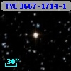TYC 3667-1714-1