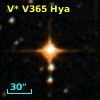 V* V365 Hya