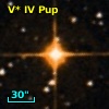 V* IV Pup