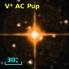 V* AC Pup