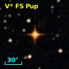 V* FS Pup