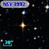 NSV  3992