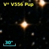 V* V556 Pup