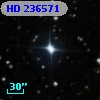 HD 236571