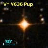 V* V636 Pup