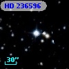 HD 236596
