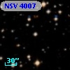 NSV  4007