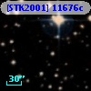 [STK2001] 11676c