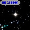 HD 236606