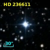 HD 236611
