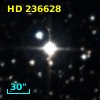 HD 236628