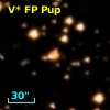 V* FP Pup